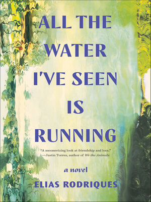 cover image of All the Water I've Seen Is Running